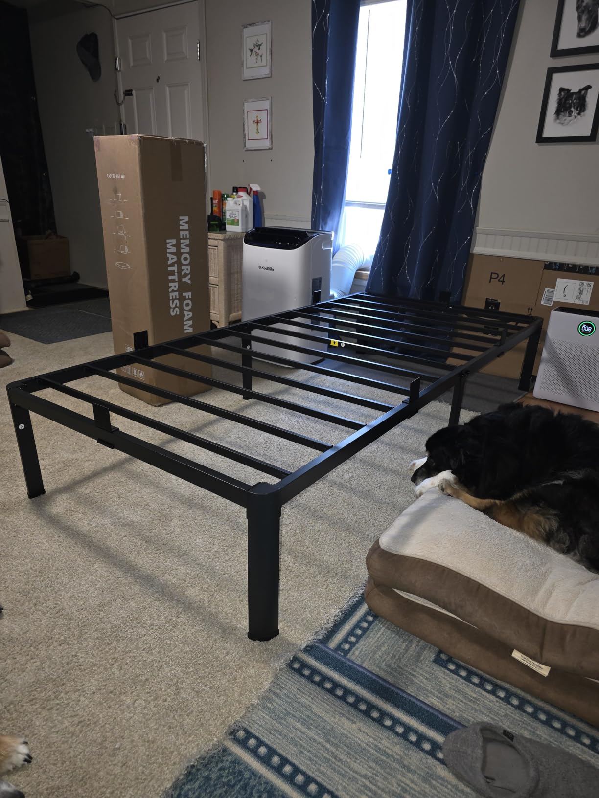 MAF 14 Inch Queen Metal Platform Bed Frame with Round Corner Legs, 3000 LBS Heavy Duty Steel Slats Support, Noise Free, No Box Spring Needed, Easy Assembly customer photo 1