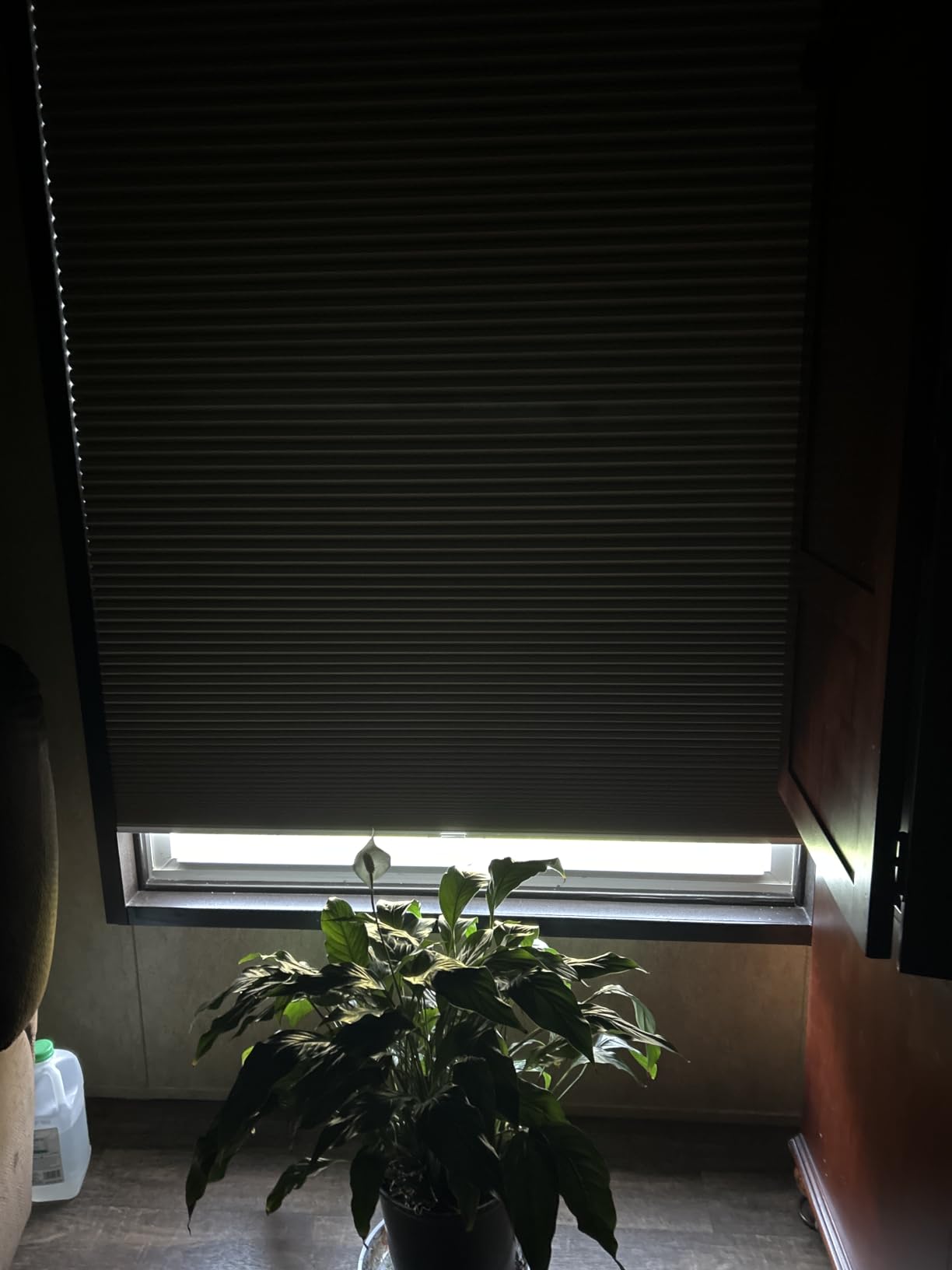 Cordless Cellular Shades, Blackout Honeycomb Shades for Windows, Pull Down Pleated Blinds, Easy to Install for Indoor Windows and French Doors, White(Blackout), Custom Size customer photo 1