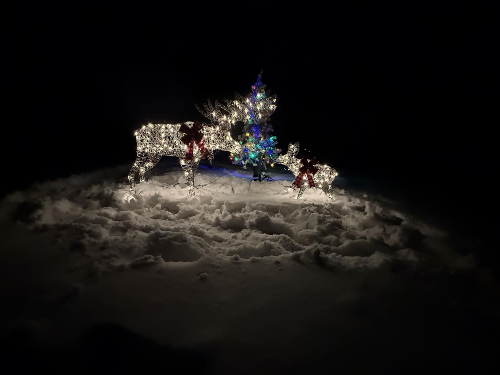Best Choice Products 2-Piece Moose Family, Lighted Outdoor All-Weather Christmas Yard Decoration Light-Up Decor Set w/ 170 LED Lights, Ground Stakes, Zip Ties - Rattan customer photo 1