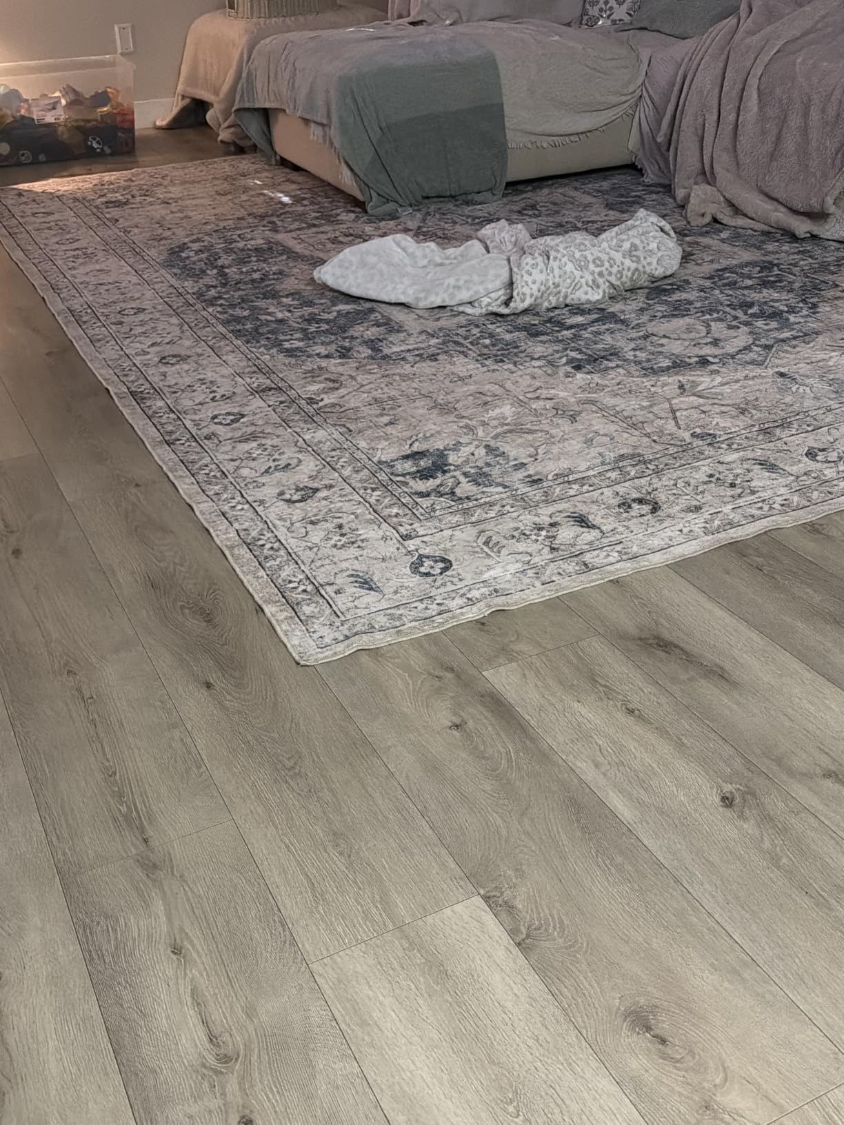 Tortania Area Rug 9x12 Living Room Rug Washable Soft Cream/Blue | Vintage Oriental Farmhouse Carpet for Bedroom/Office/Under Dining Table, Home Decor Low Pile Busy Home Use customer photo 1