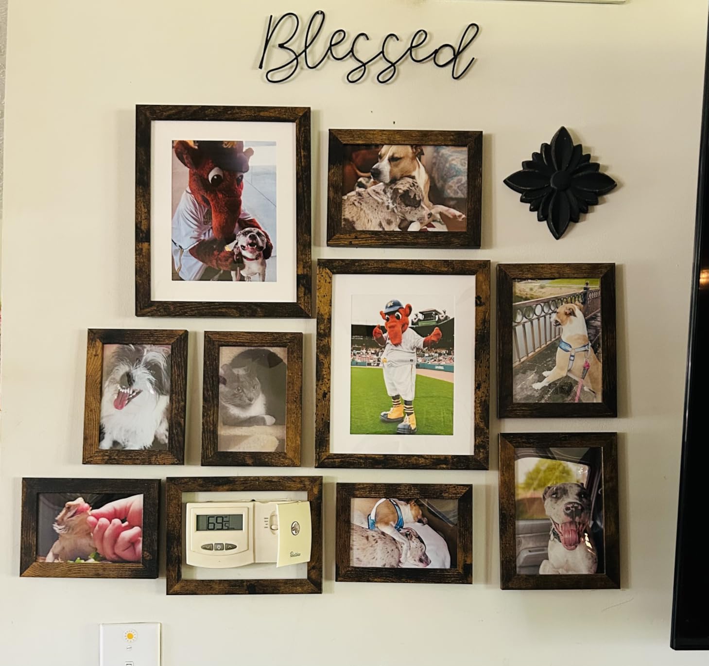 Picture Frame Set 10 pack, Farmhouse Photo Frames, Gallery Wall Frame Collage, with Two 8x10, Four 5x7, Four 4x6 Photo Frame Set in 3 Different Finishes, Rustic Brown customer photo 1