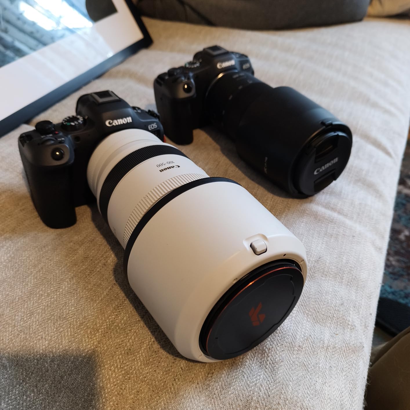Canon EOS R8 Mirrorless Camera Body, Full-Frame CMOS Sensor, 24.2 Megapixels, 4K 60p Video customer photo 1