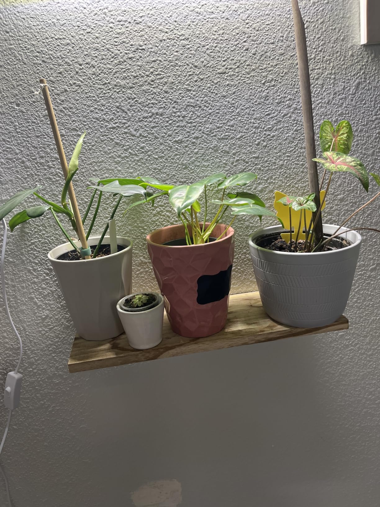 Wood Floating Shelves Set of 6, Shelves for Wall Decor, Farmhouse Shelf for Bedroom, Bathroom Storage Shelves, Book Shelves for Living Room - Rustic Brown customer photo 2