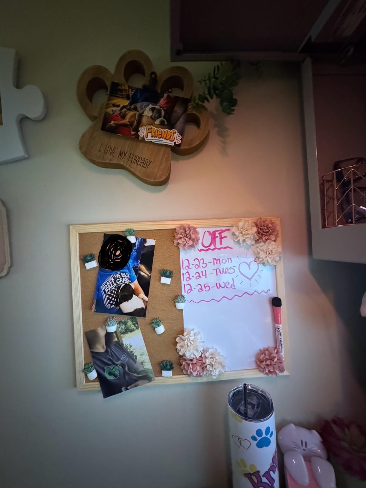 OWLKELA Cork Bulletin Board, 24