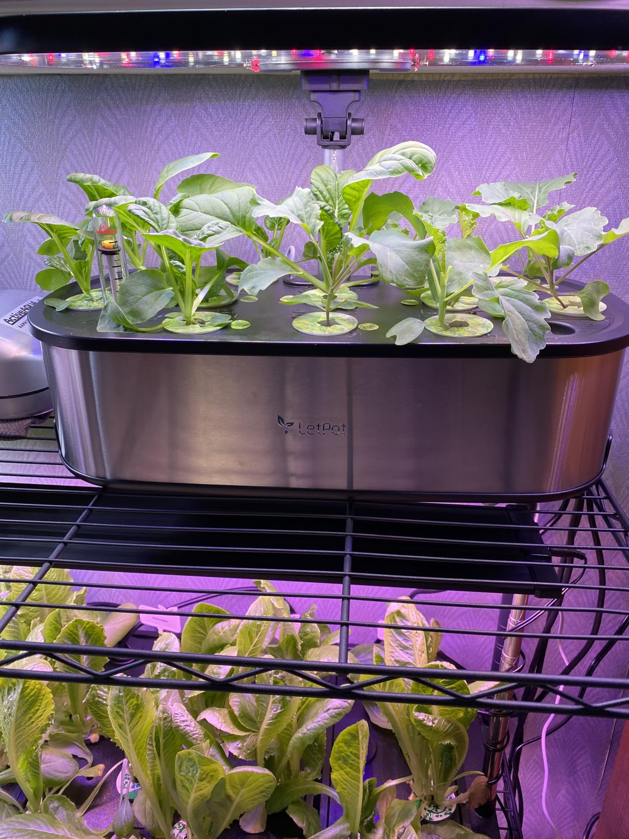 LetPot LPH-Max Hydroponics Growing System Kit, 21 Pods APP & WiFi Automatic Controlled Smart Indoor Garden with 36W LED Grow Light, Auto Drip Irrigation Kits, Self-Managed Nurturing & Watering customer photo 2