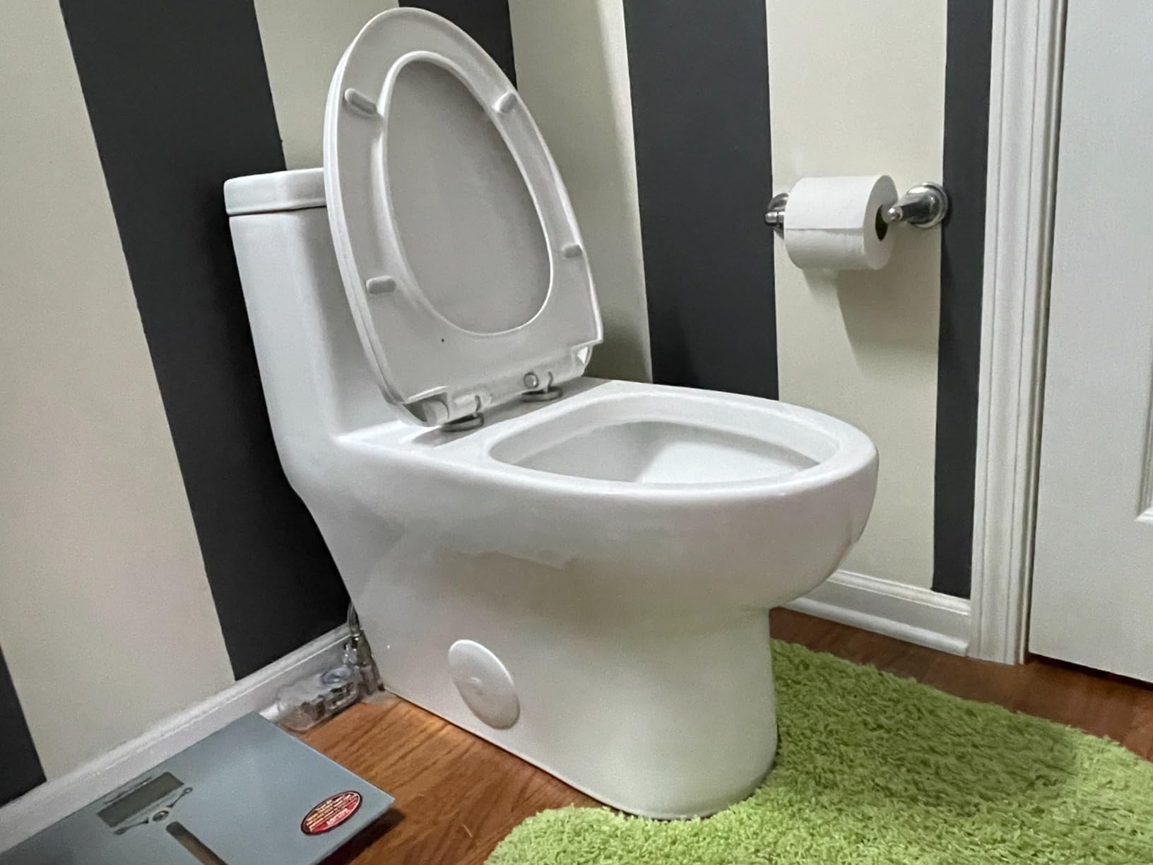 DeerValley Elongated One Piece Toilet with Efficient Dual Flush 1.1/1.6 GPF | Standard Height Toilet Bowl, Durable Ceramic, Slow Close Seat, Skirted Design 10
