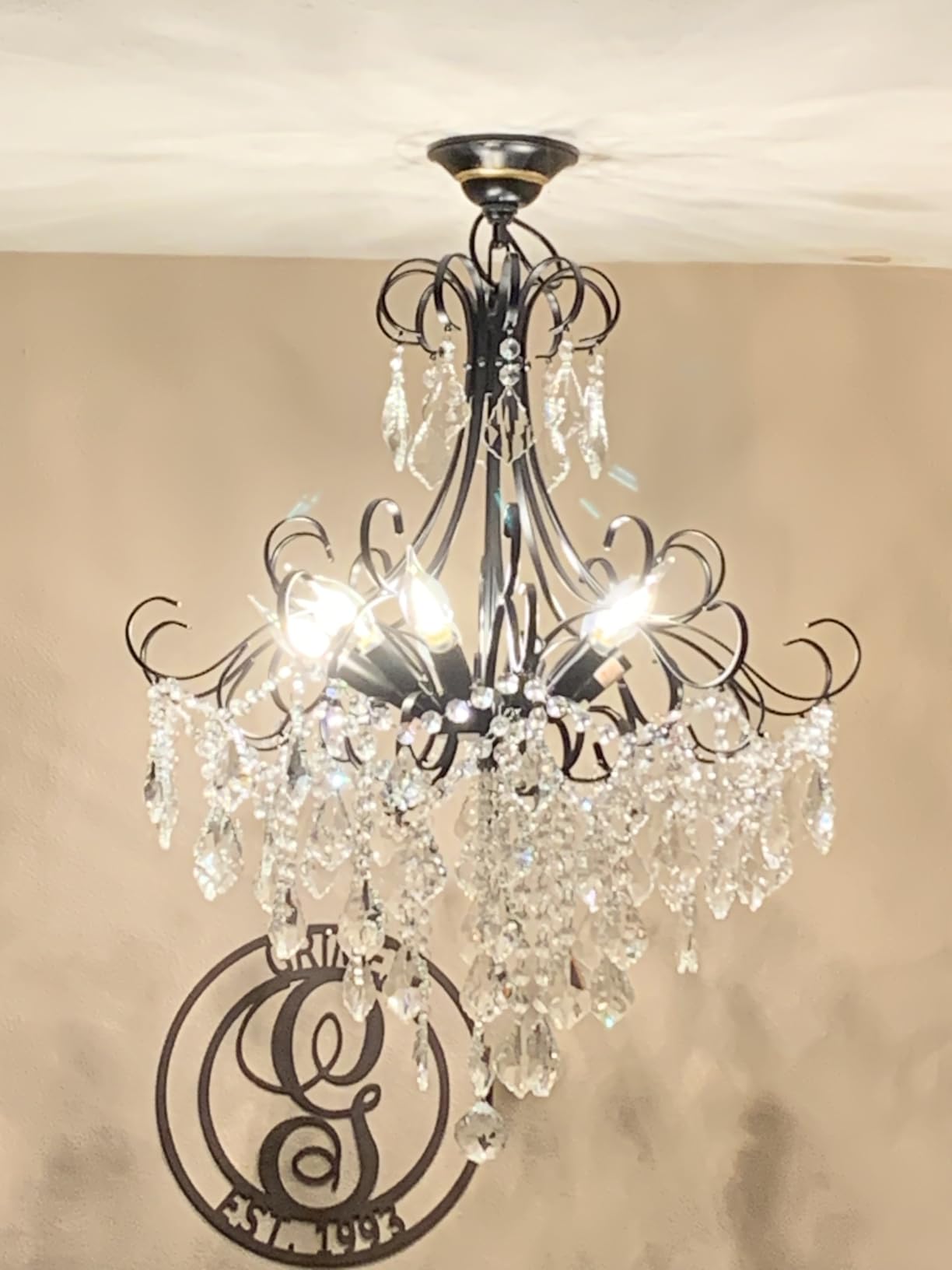 WUZUPS Crystal Chandelier 10-Light Pendant Ceiling Light Modern Lighting Fixture for Dining Room Hallway Bedroom Kitchen Bathroom, H 27.6
