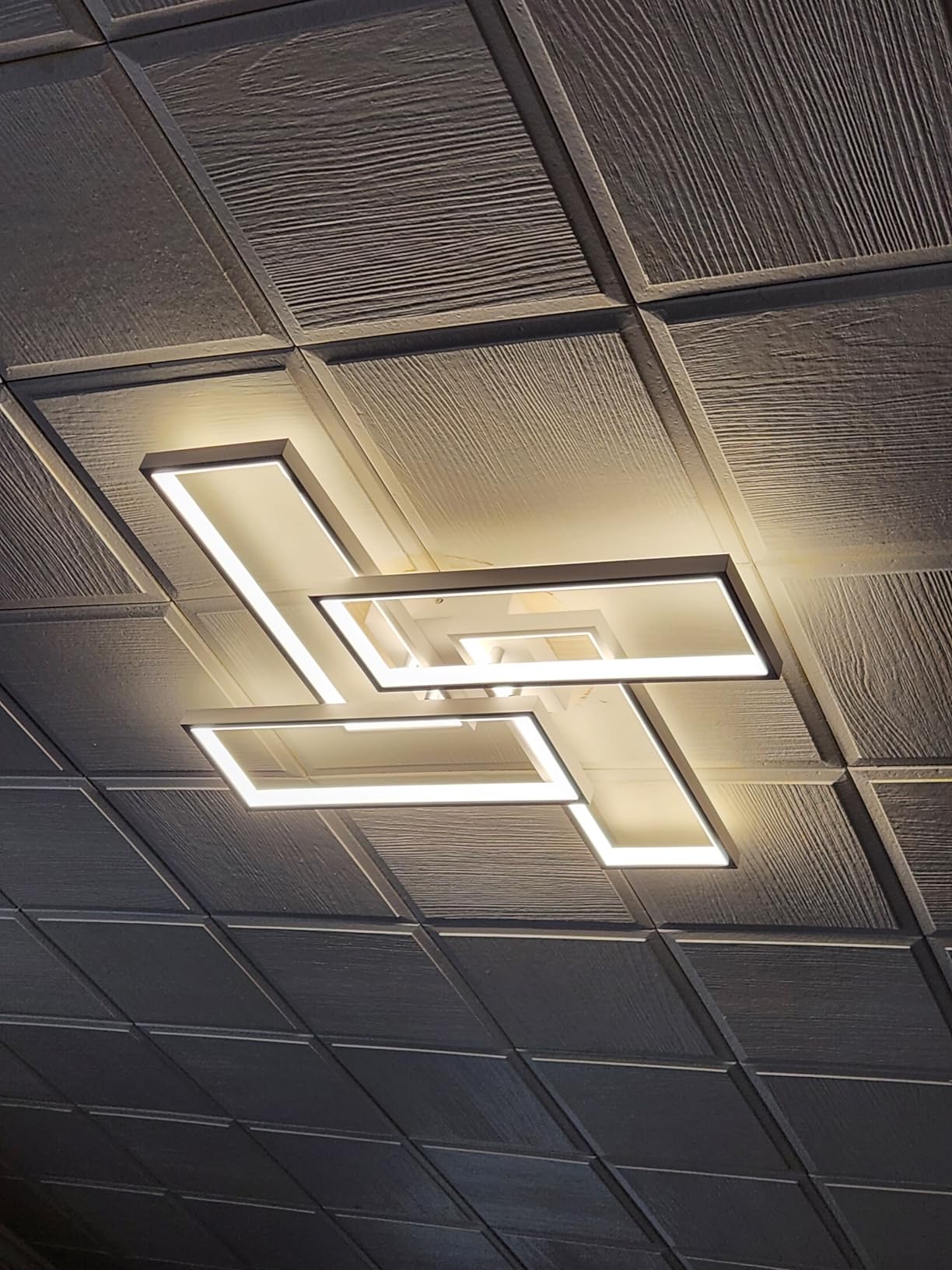 Shine LUEST Modern LED Ceiling Light, Dimmable LED Chandelier Black Flush Mount Ceiling Lights, Remote Control Acrylic Ring Ceiling Lamp Fixture for Living Room Dining Room Bedroom customer photo 2