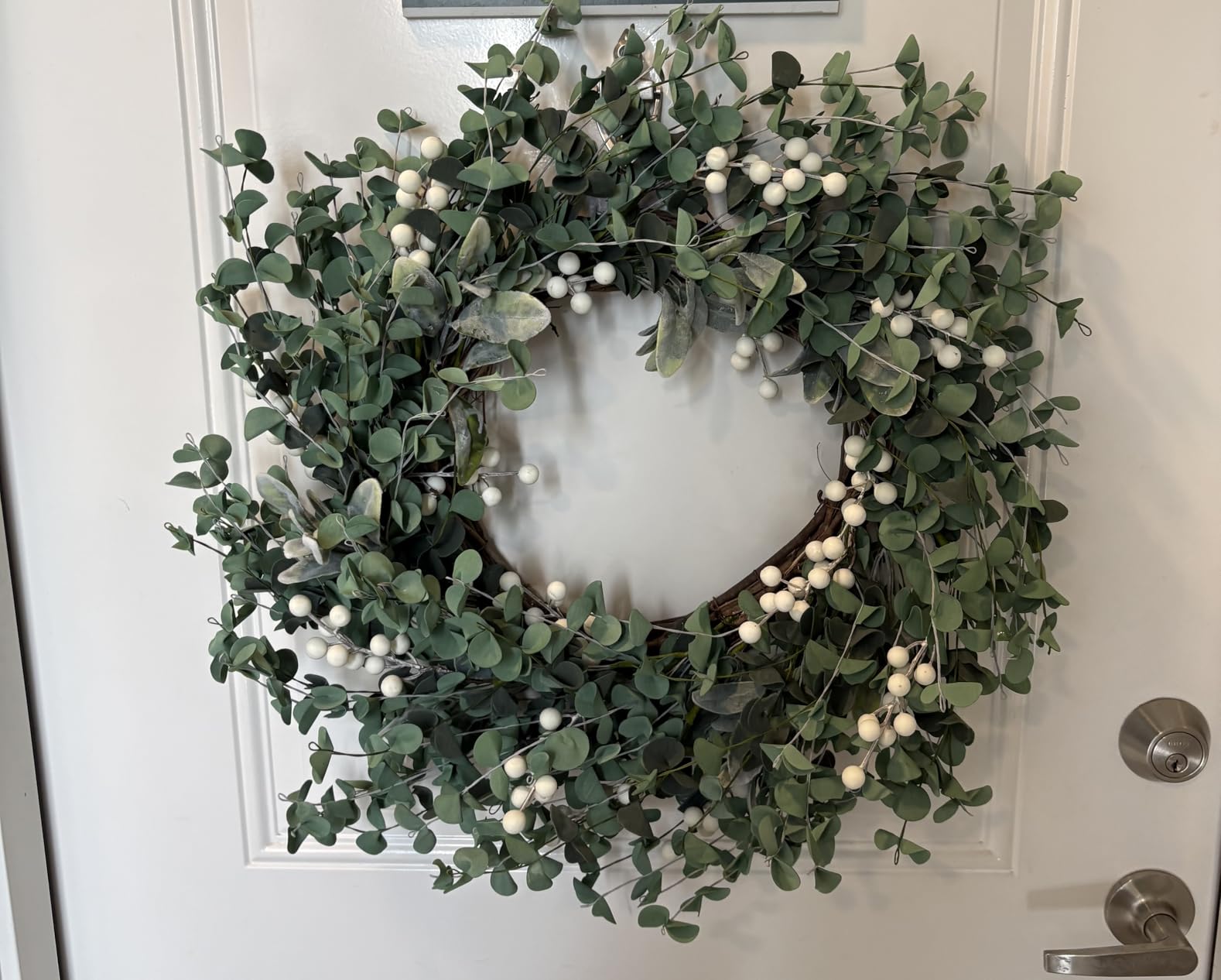 Sggvecsy Artificial Greenery Leaves Wreath for Front Door 22 Inch - Boxwood Wreath with Flocked Lambs Ear White Berries customer photo 1