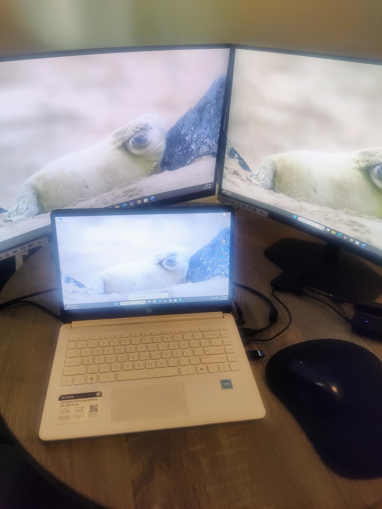 Kado 2-Pack Dual 27