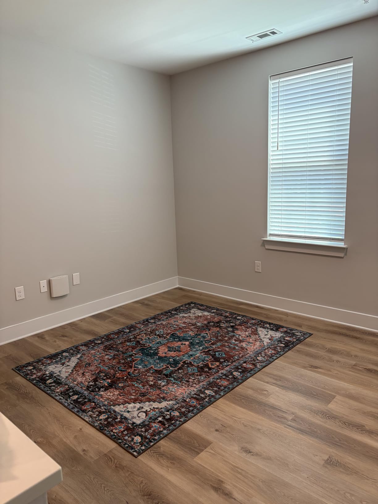 Ciicool 8X10 Area Rug Washable Large Soft Non-Slip for Living Room Bedroom | Boho Thin Low Pile Oriental Stain Resistant Indoor Mat Floor Throw Pet Friendly Carpet for Dining Room Kitchen Bedside Office customer photo 2