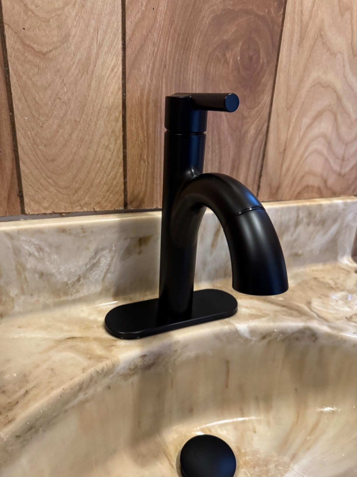 Delta Nicoli 1 Hole Pull Down Bathroom Faucet with Sprayer, Brushed Nickel Single Hole Bathroom Sink Faucet with Pull Out Sprayer for Vanity, Push-Pop Drain, Stainless 15749LF-SSPD customer photo 1