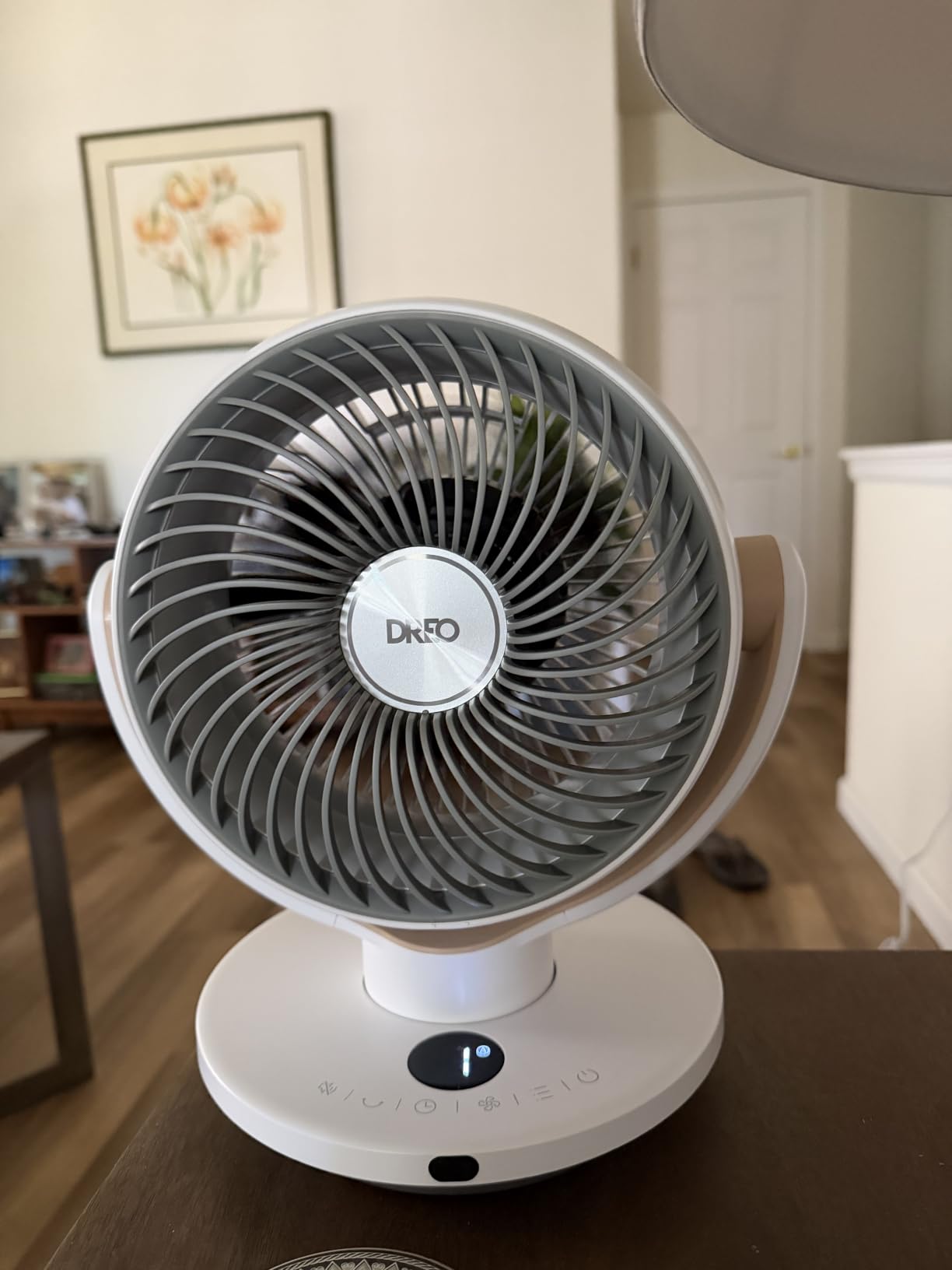 DREO Fan for Bedroom, Desk Air Circulator Fans with Remote, 11 Inch Table Fan for Whole Room, 65ft Powerful Airflow, 120° Vertical Manual and 90° Oscillating, 4 Speeds, 8H Timer, 25dB Quiet, Home customer photo 1