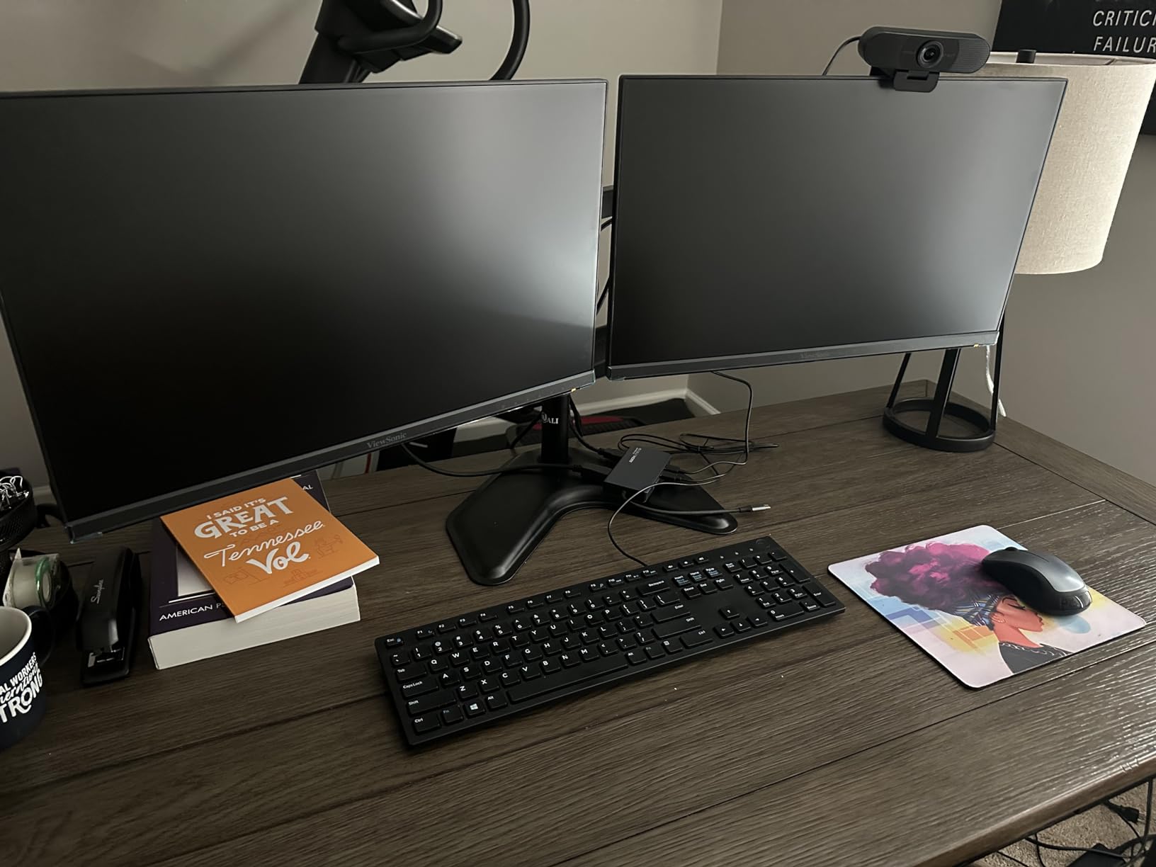 ViewSonic VA2456A-MHD_H2 24 Inch 1080p Dual Pack Head-Only Monitors, IPS Display with 120Hz for Dual-Screen Home and Office Setups, HDMI, DisplayPort, and VGA Inputs customer photo 1