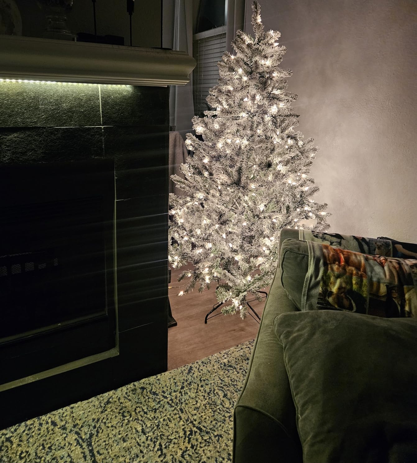 National Tree Company 7.5ft Pre-Lit Flocked Acacia Christmas Tree | 550 Clear Lights, 1,300 Tips, Includes Stand, Artificial, Green customer photo 1