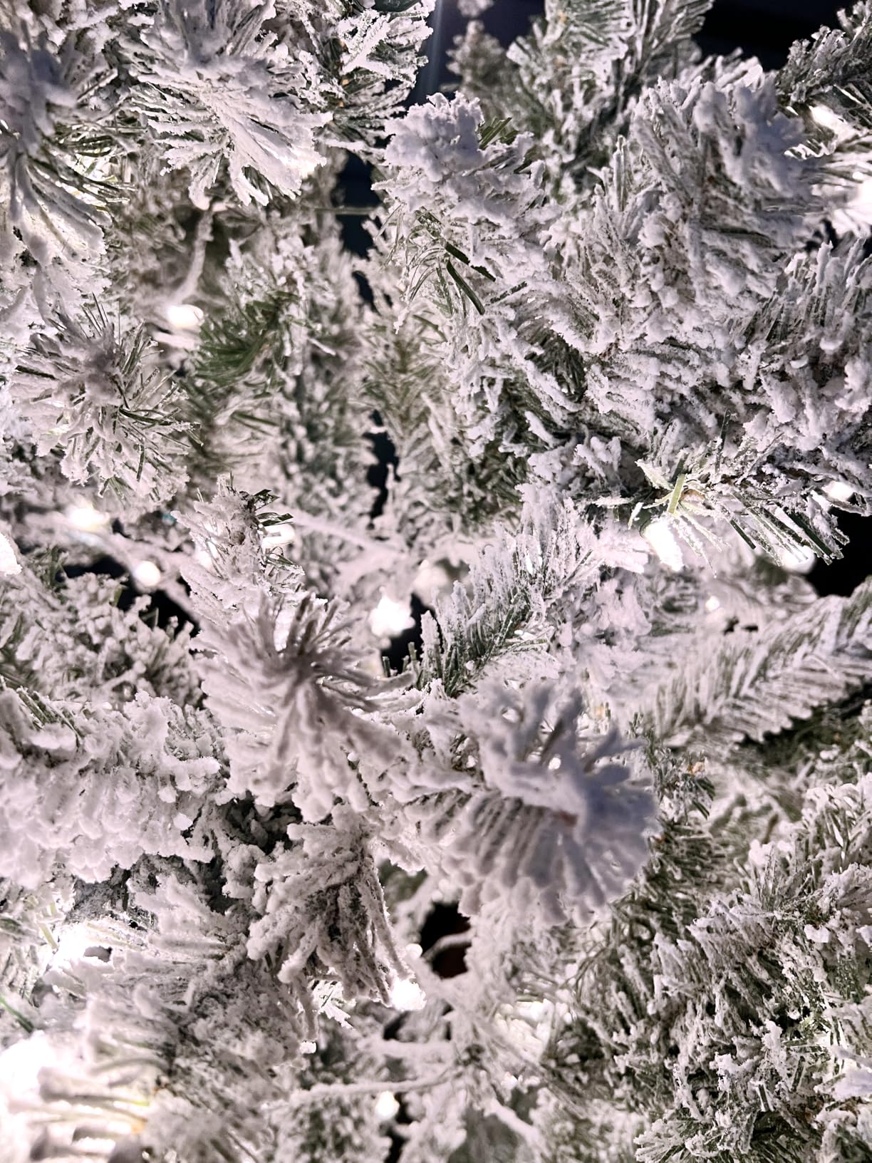 National Tree Company 7.5ft Pre-Lit Flocked Acacia Christmas Tree | 550 Clear Lights, 1,300 Tips, Includes Stand, Artificial, Green customer photo 2