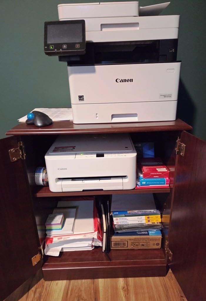 Canon PIXMA TS6520 Wireless Color Inkjet Printer Duplex Printing, White - Home Printer with Copier/Scanner, 1.42