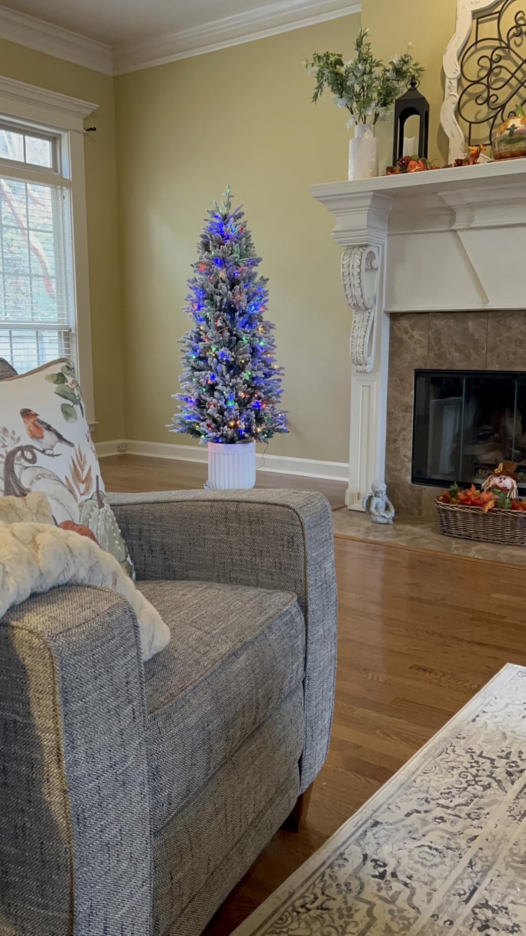 Best Choice Products Prelit Potted Pencil Christmas Tree, 6Ft Flocked Realistic Artificial Lighted Holiday Décor, 250 Twinkling LEDs for Home, Porch customer photo 2