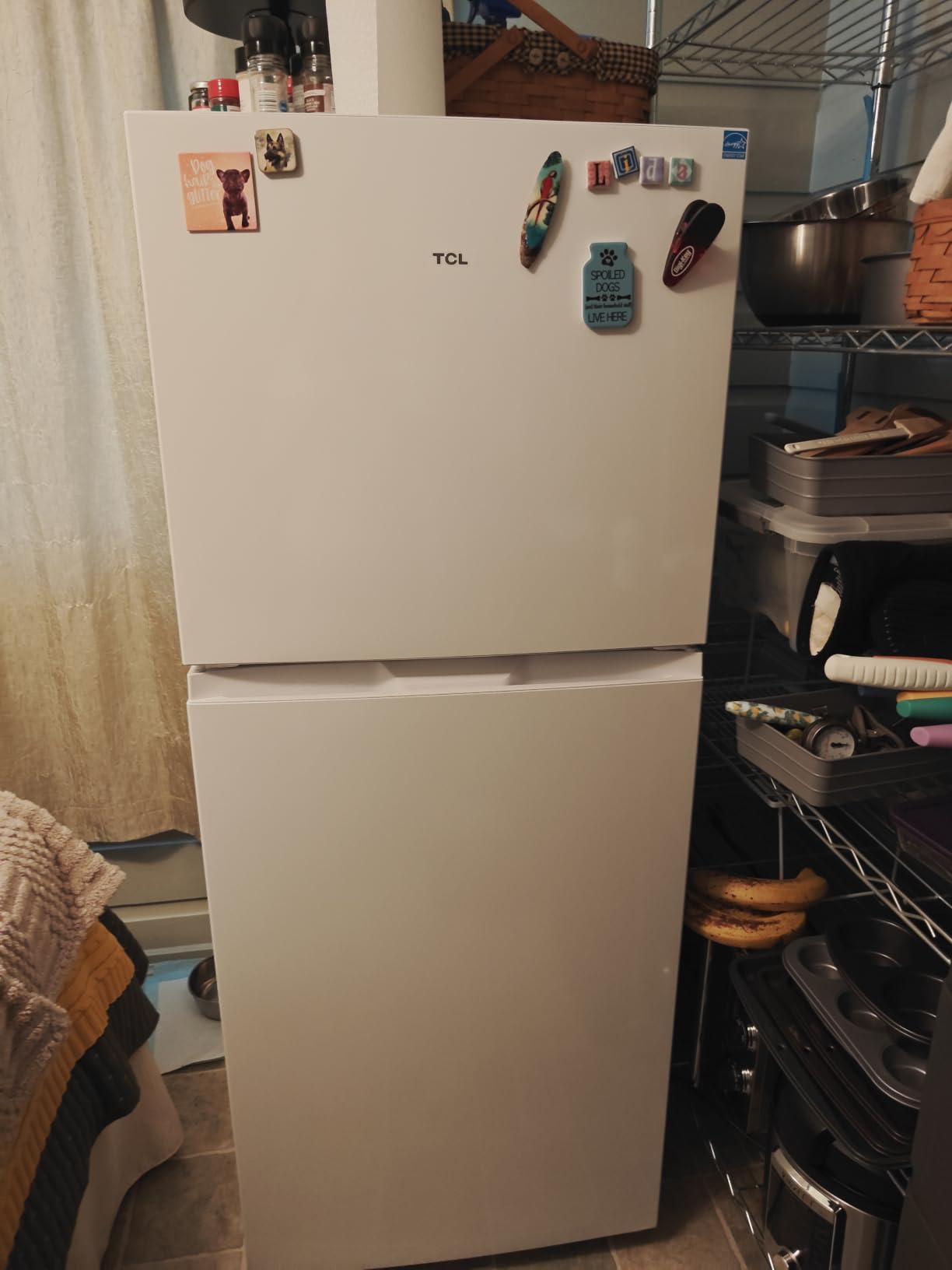 TCL 11.6 Cu. Ft. Counter-Depth Refrigerator with Freezer, Silver | Counter-Depth Refrigerator, Frost Free, Freezer, for Dorm, Apartment, Kitchen, Garage, Office, Frost Free Energy Efficient customer photo 1