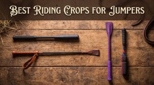Best riding crops for jumpers