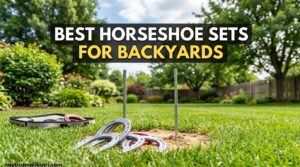 Best horseshoe sets for backyards