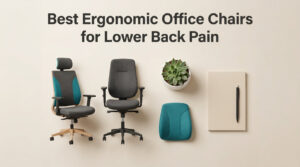 Best Ergonomic Office Chairs for Lower Back Pain