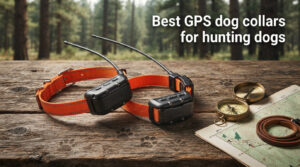 Best GPS dog collars for hunting dogs