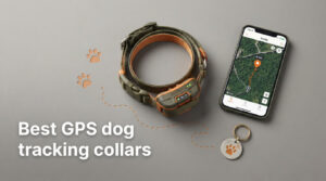 Best GPS dog tracking collars