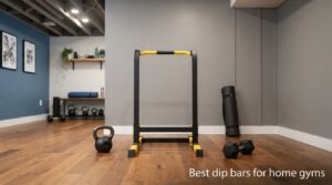 Best dip bars for home gyms