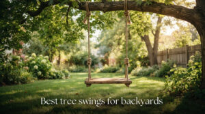Best tree swings for backyards