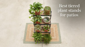 Best tiered plant stands for patios