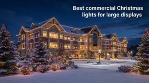 Best commercial Christmas lights for large displays
