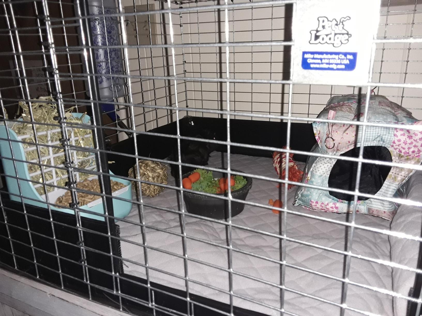 Pet Lodge Wire Rabbit Hutch | Rust Resistant Galvanized Wire Mesh | Easy to Assemble Stackable Rabbit Cage | Made in USA | 24 X 24 customer photo 1