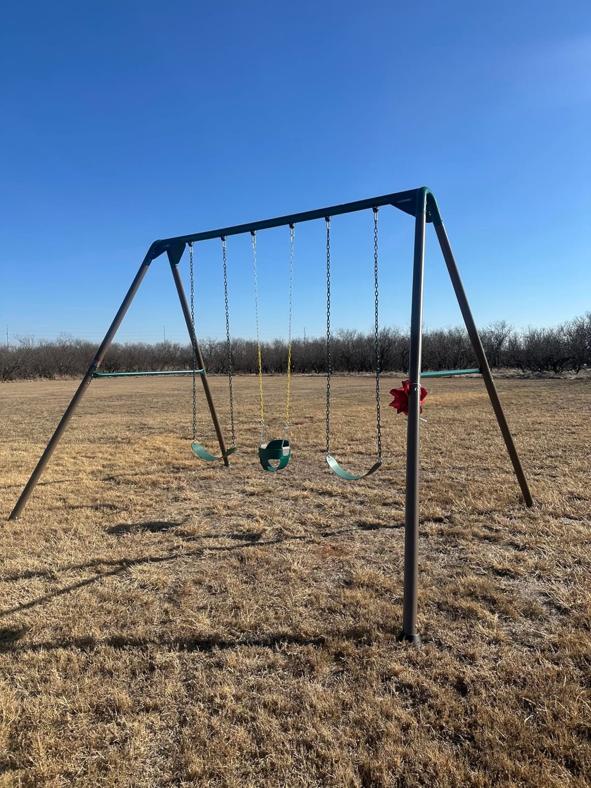 Lifetime Heavy Duty A-Frame Metal Swing Set customer photo 1