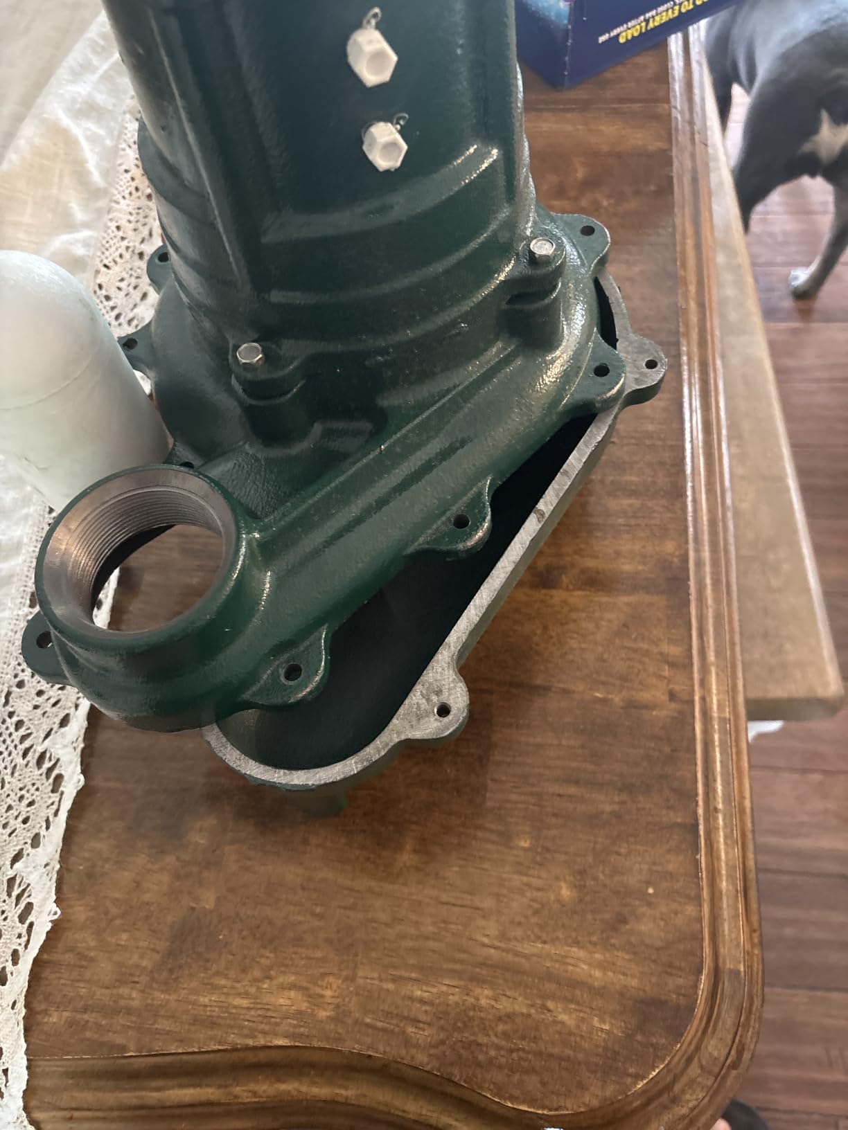 Zoeller Waste-Mate 267-0001 Sewage Pump, 1/2 HP Automatic | Heavy-Duty Submersible Sewage, Effluent or Dewatering Pump customer photo 1