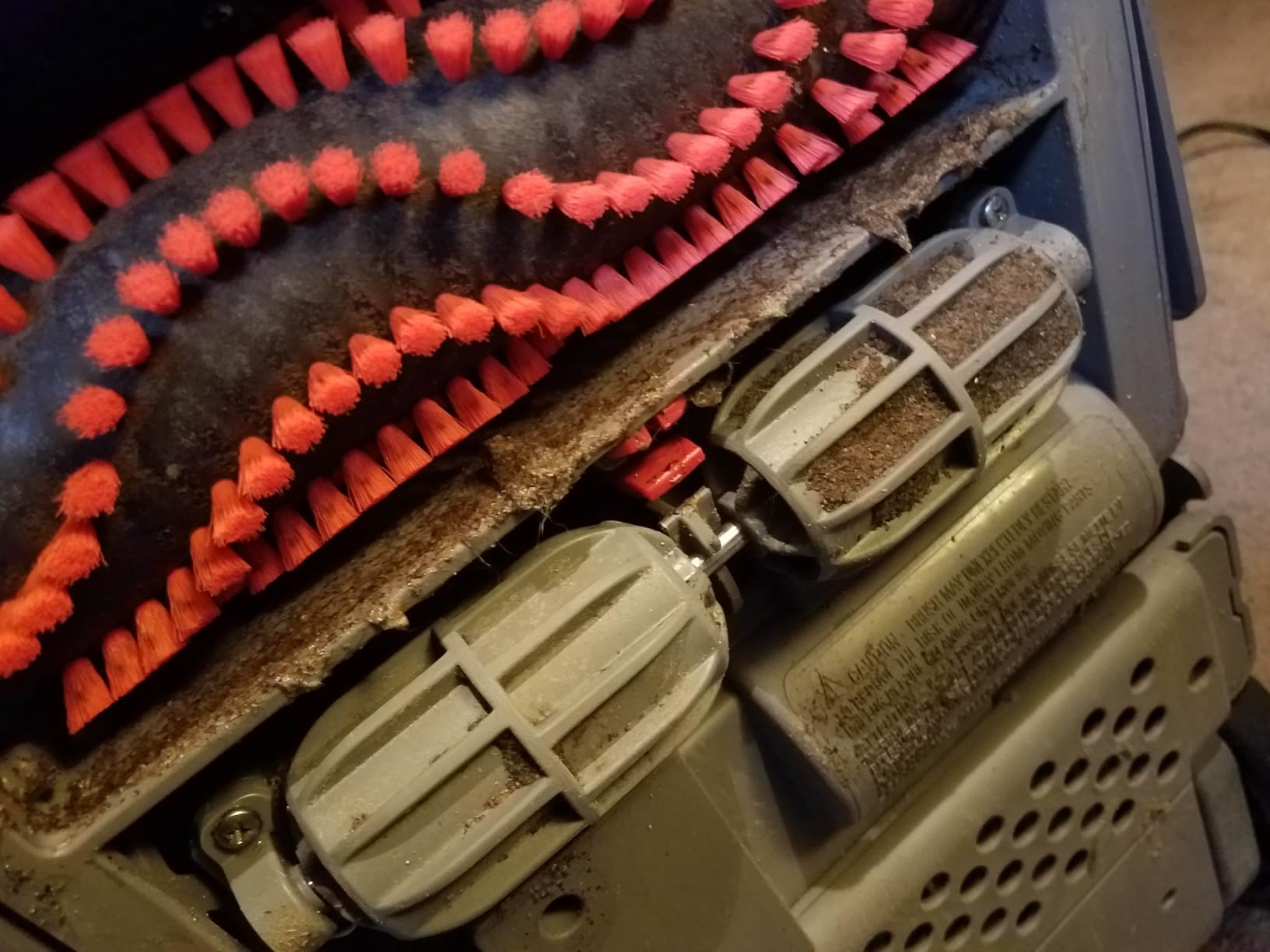 BISSELL Big Green Professional Carpet Cleaner, XL DirtLifter PowerBrush customer photo 2