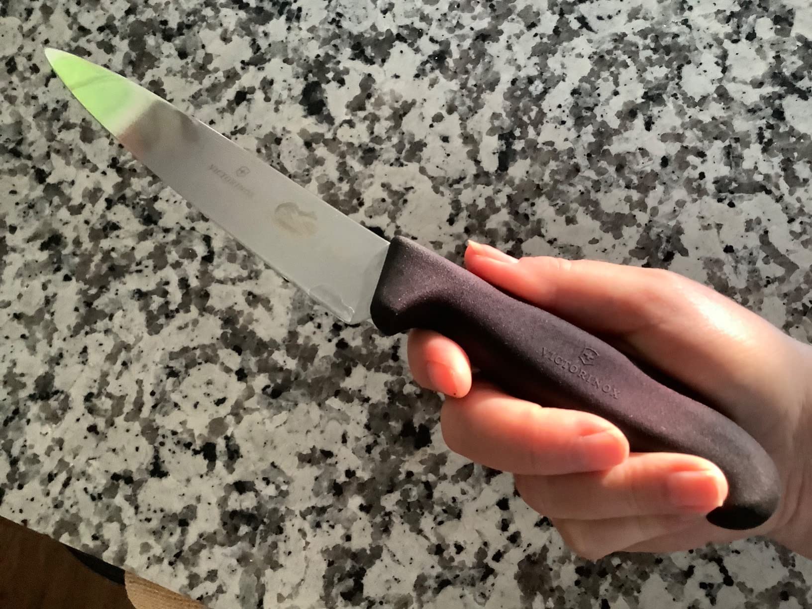 Victorinox 4-Piece Knife Set with Fibrox Handles customer photo 1