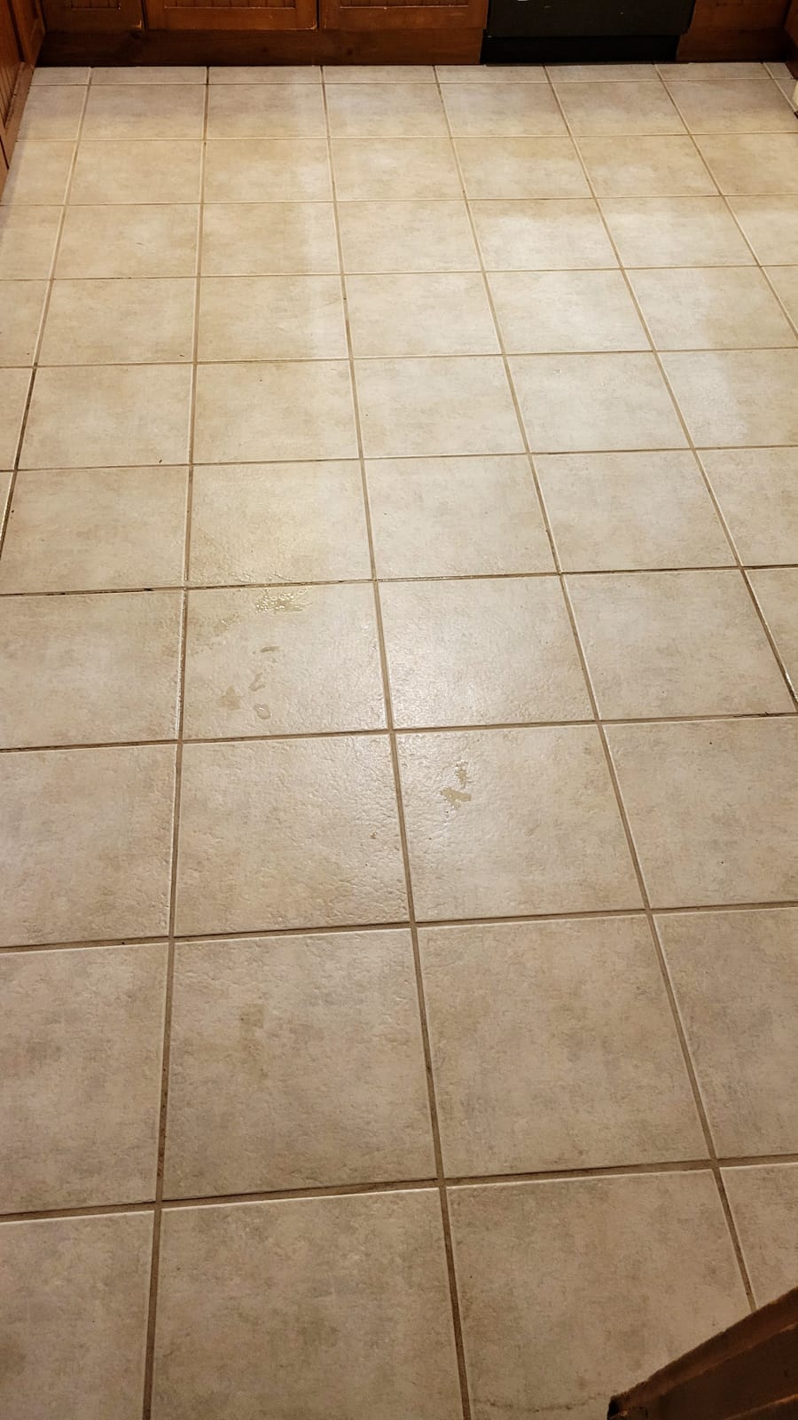 Oreck Orbiter Hard Floor Cleaner, Multi Purpose Floor Cleaning Machine | Random Orbit Power for Fingertip Control customer photo 1