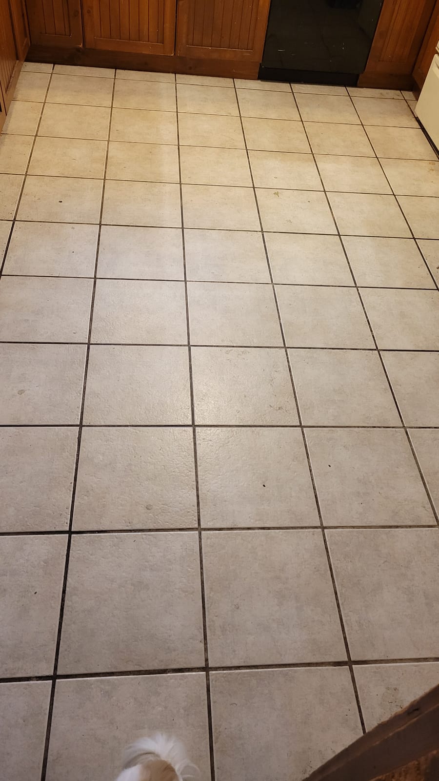 Oreck Orbiter Hard Floor Cleaner, Multi Purpose Floor Cleaning Machine | Random Orbit Power for Fingertip Control customer photo 2