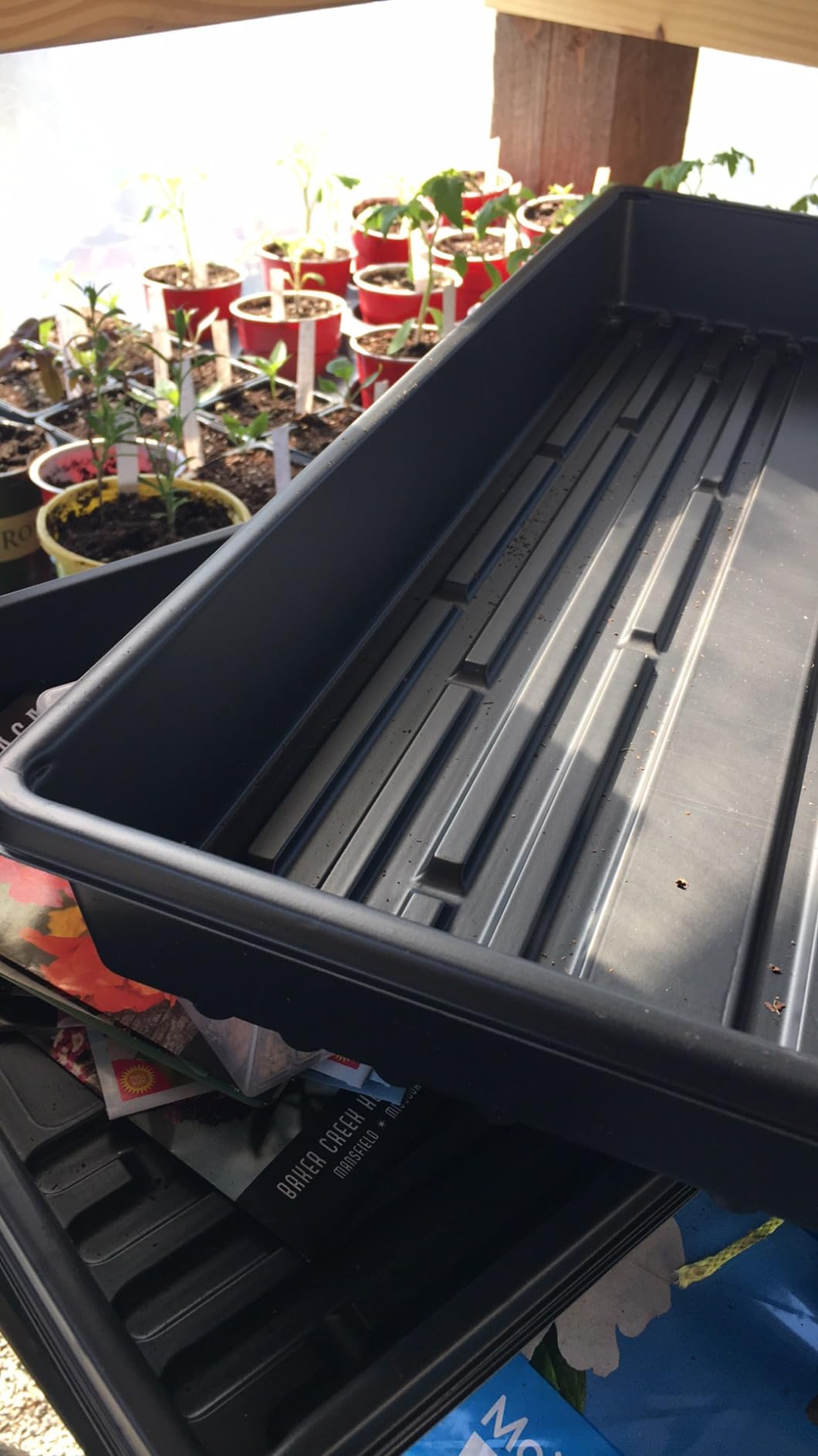 10 Plant Growing Trays (No Drain Holes) - 20
