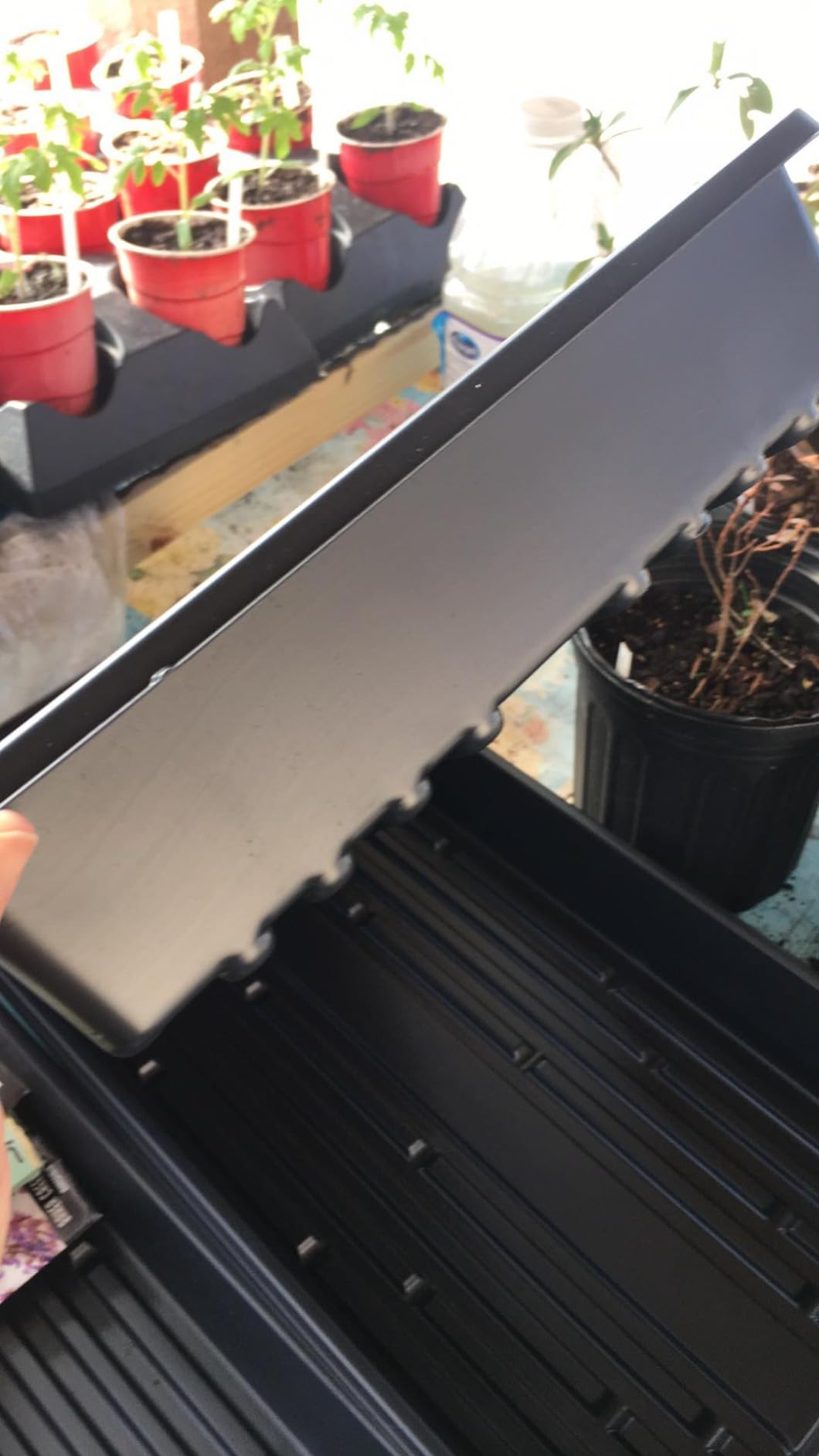 10 Plant Growing Trays (No Drain Holes) - 20