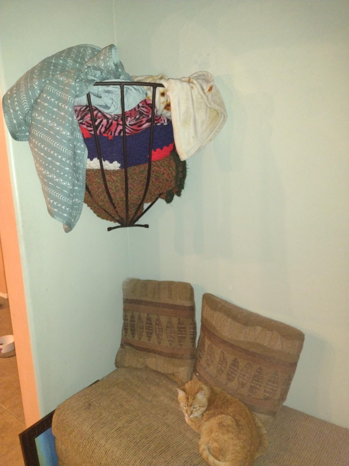 Intrepid International Wall-Mounted Corner Hay Rack - for Horses, Goats, Sheep, and Other Livestock customer photo 2