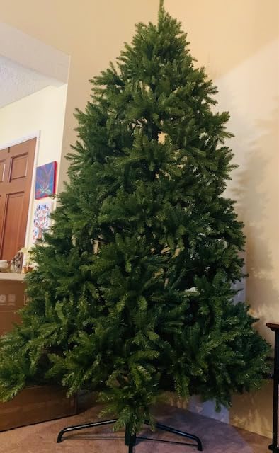 National Tree Company 9ft Unlit Dunhill Fir Full Artificial Christmas Tree | 4,026 Tips, Includes Stand, Green customer photo 1