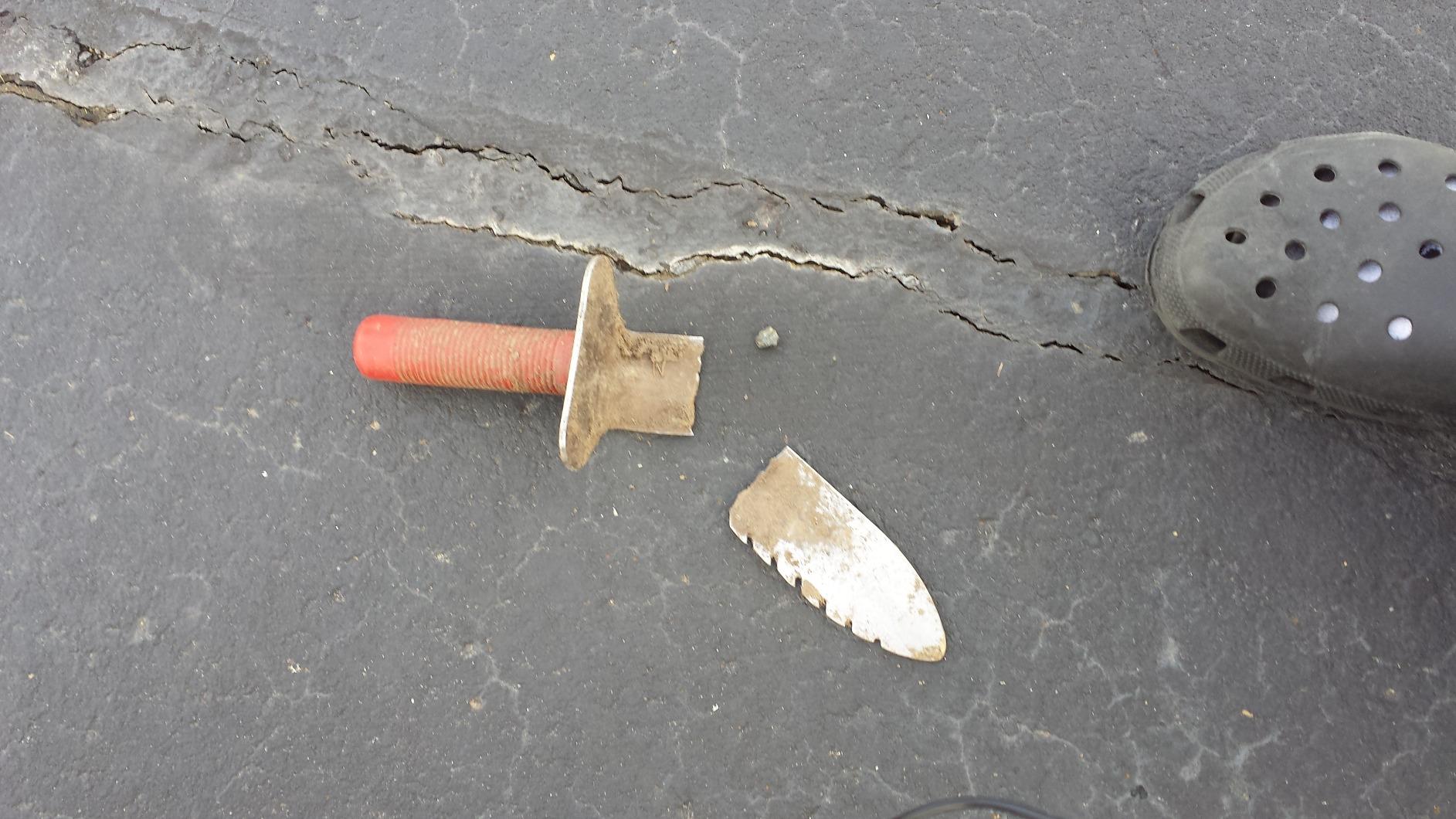 Lesche Digging Tool & Sod Cutter & Free Sheath (Serrated on Left Side) customer photo 2