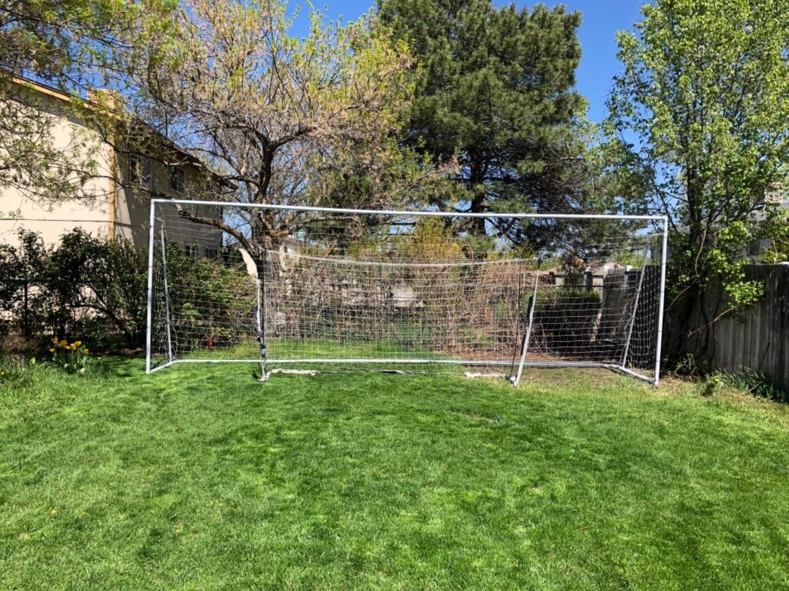 Official Size 24 X 8 X 5 Ft. Steel Soccer Goal. Heavy Duty Frame w/Net. Tournament, Regulation Size. Professional Portable Practice Training Aid. 24 X 8 (1 Net) customer photo 1