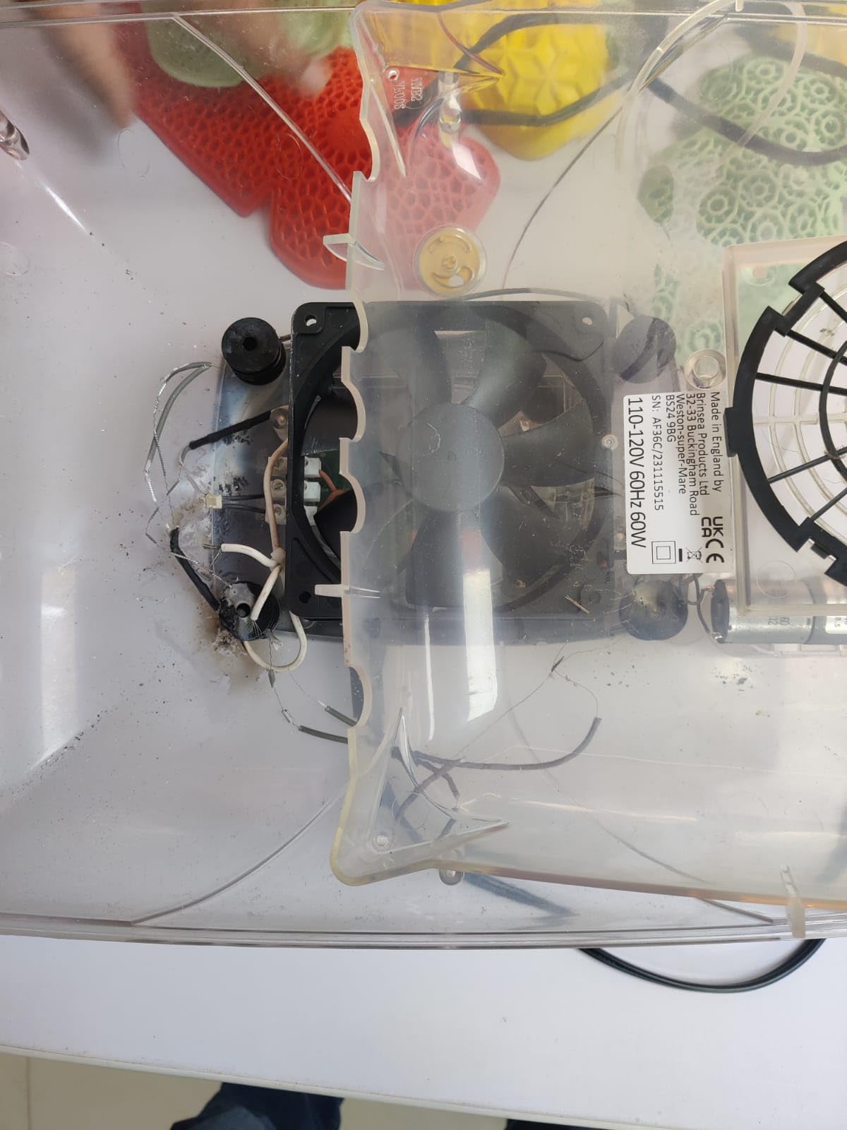 Brinsea Ovation 28 EX Egg Incubator, Automatic Turning & Humidity Control - 50+ years of trusted precision! Built-in automatic humidity, auto-turn & temp alarms take the stress out of hatching 28 eggs customer photo 1