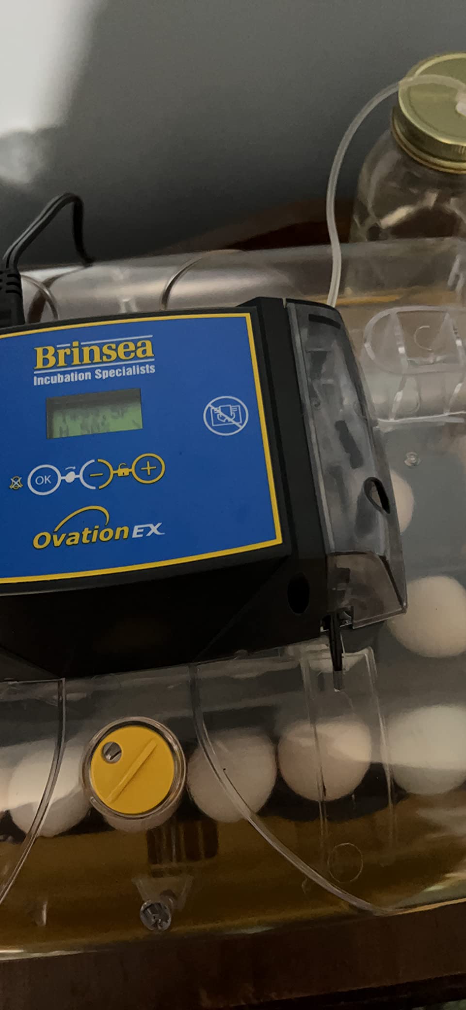 Brinsea Ovation 28 EX Egg Incubator, Automatic Turning & Humidity Control - 50+ years of trusted precision! Built-in automatic humidity, auto-turn & temp alarms take the stress out of hatching 28 eggs customer photo 2