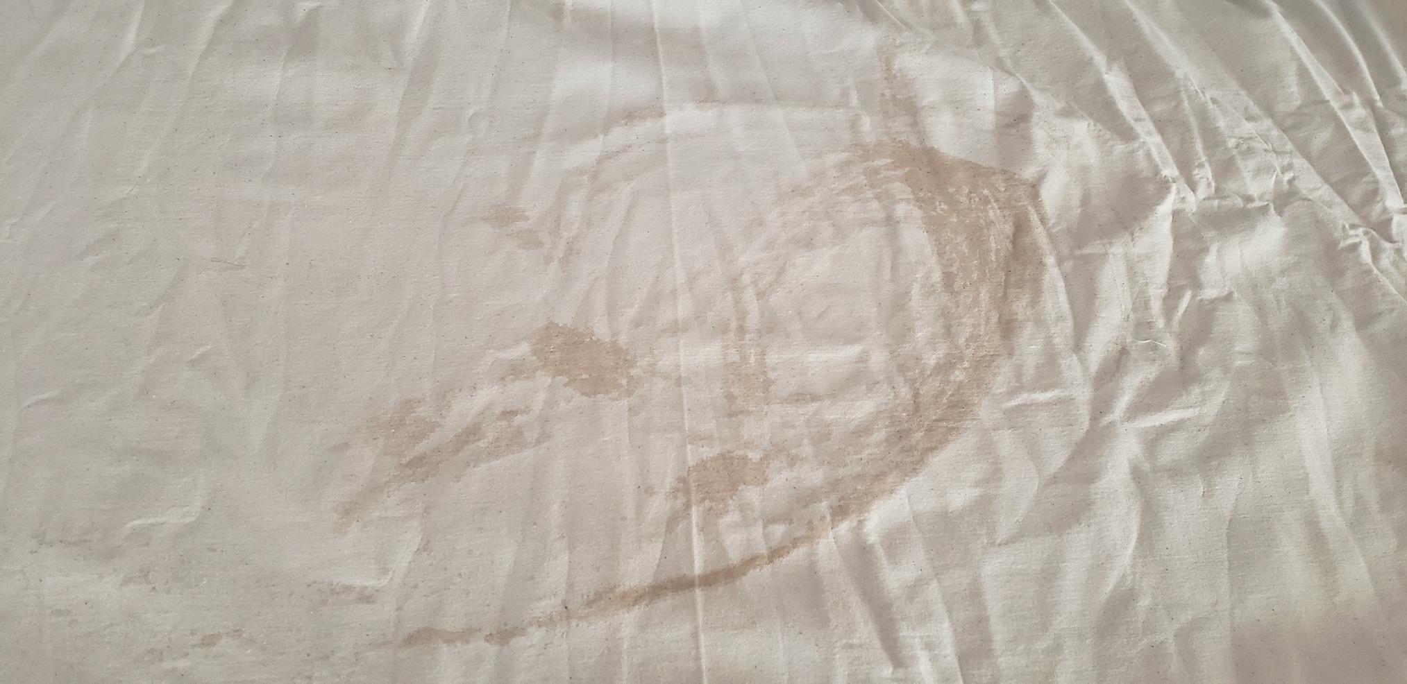 Silver Star Bottle Steam Iron ES-300 Gravity Feed Steam Iron with Non-Stick Laminate Sole Plate, Demineralizer (110 Volt) customer photo 1