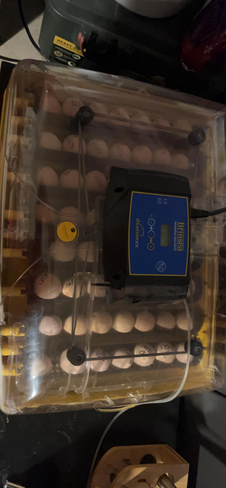 Brinsea Ovation 56 EX Egg Incubator, Automatic Turning & Humidity Control - 50+ years of trusted precision! Built-in automatic humidity, auto-turn & temp alarms take the stress out of hatching 56 eggs customer photo 2