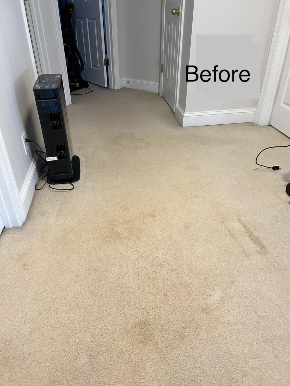 OxiClean Large Carpet Cleaner Liquid Solution, 64 fl oz | Steam Cleaning Machines, Carpet Cleaner Solution, Carpet Shampoo, Deep Cleans Carpet Fibers customer photo 1
